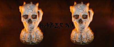 logo Haber No